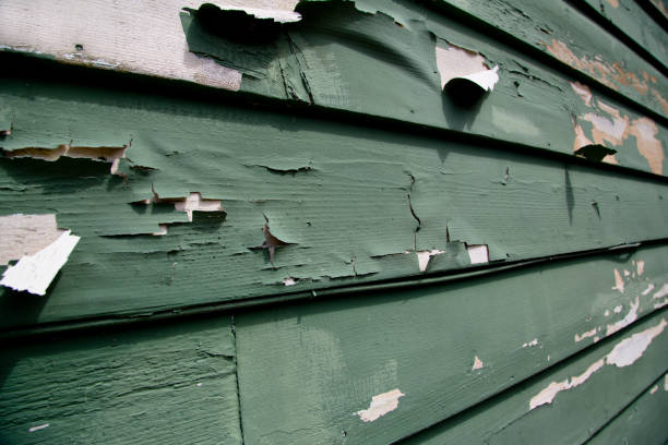 Best Storm Damage Siding Repair  in New Lebanon, OH