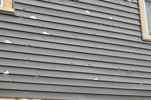 Best Siding Painting and Refinishing  in New Lebanon, OH